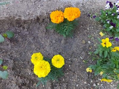 イメージ 2