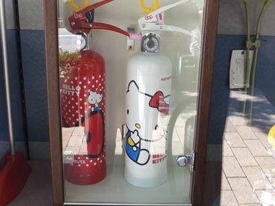 イメージ 13