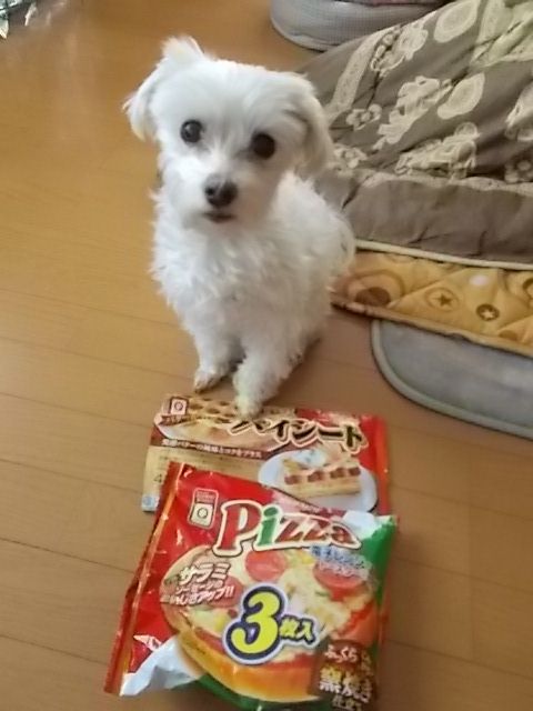 イメージ 1