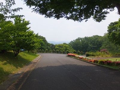 イメージ 5
