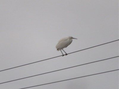 s-IMG_4957