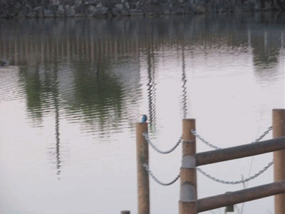 5932~5955 暗いボケ