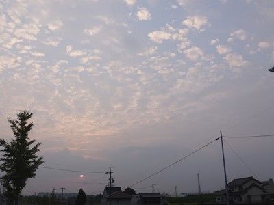 イメージ 5
