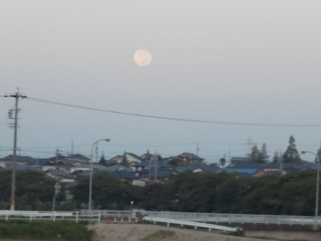 イメージ 1