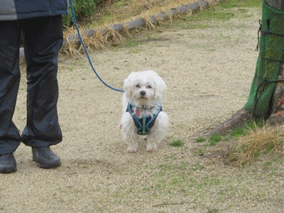 407~417 ゆきまる