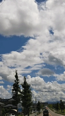 イメージ 4
