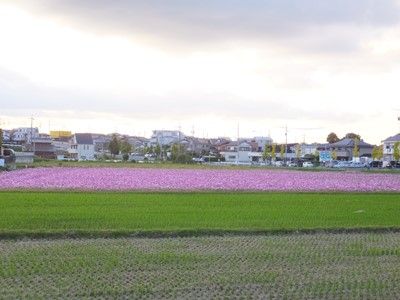 イメージ 12
