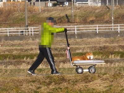 イメージ 5