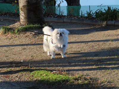 629~647 テルちゃん