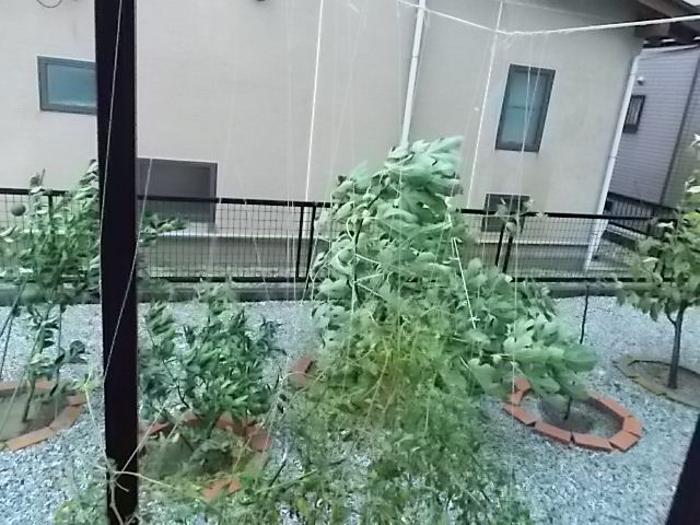 イメージ 1