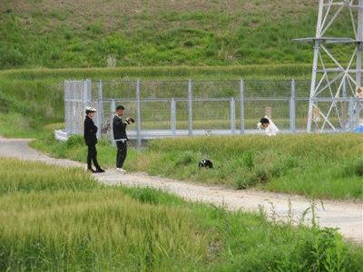 121~171  麦畑にて