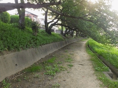 イメージ 8