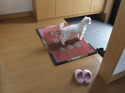 イメージ 4