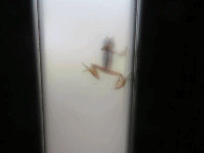 782~795 目が疲れる