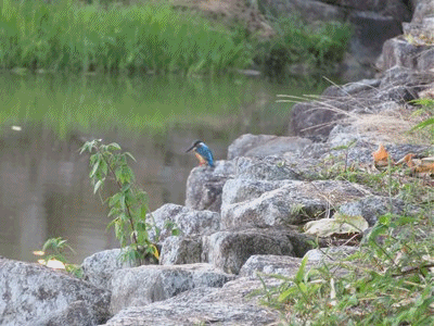 738~759 中之島へ