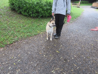 977~990 まるちゃん 6才