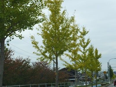 イメージ 6