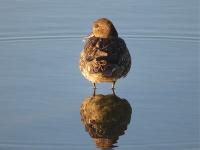 s-IMG_5109
