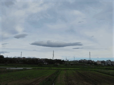 オットセイの形の雲 鮭のソテー 冷奴 きららきらら