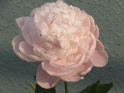 イメージ 10