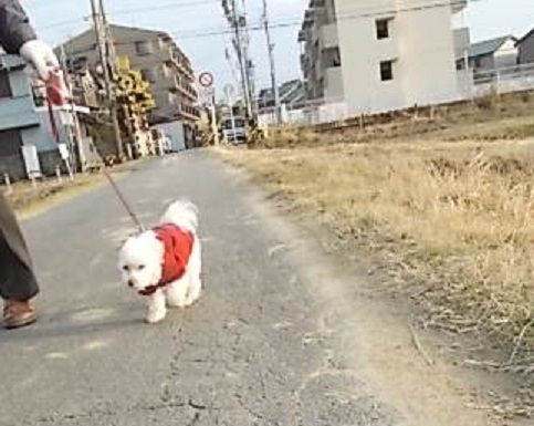 イメージ 11