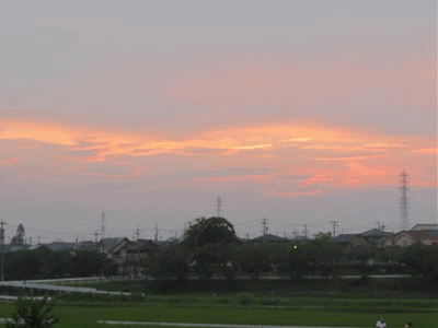 イメージ 8