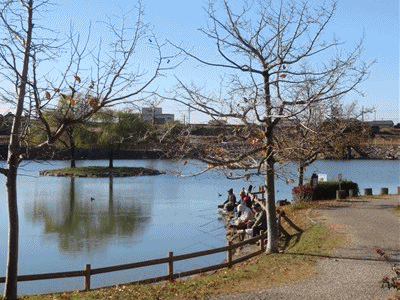 4946~5026 いいお天気です