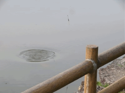 457~469 魚は見えない