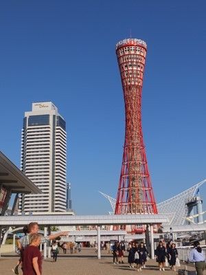 イメージ 17
