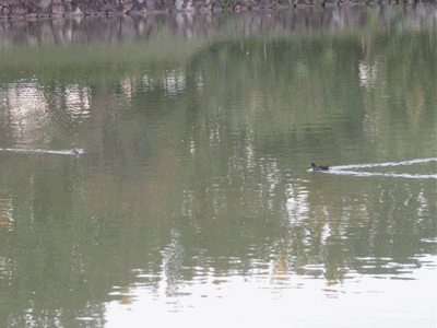 256~268 ワーイお母さん～　あっ違った！