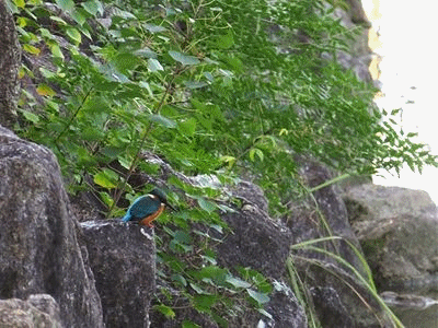 421~423 飛んだ 残念