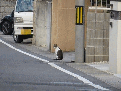 イメージ 5