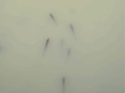 506~519