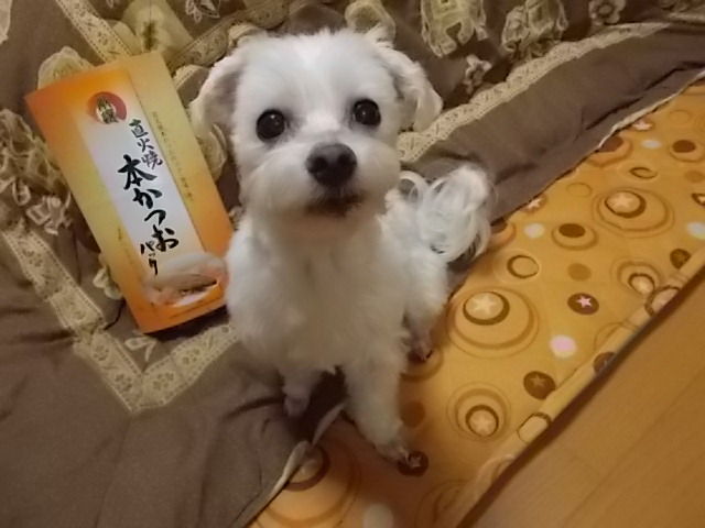 イメージ 3