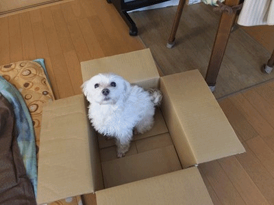 イメージ 9