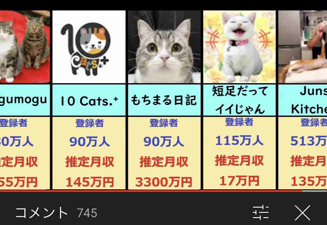 ペット系youtuberについて語りたい 芸能まとめ速報