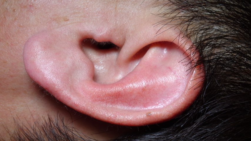 97c5b890.jpg
