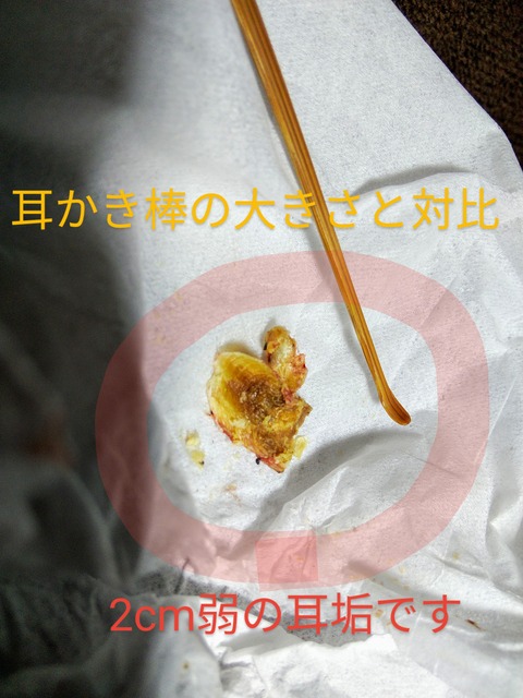 DSC_1181~2