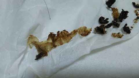 a453860f.jpg