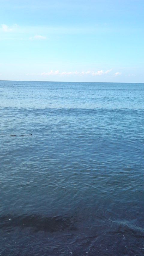 f2e58bdf.jpg