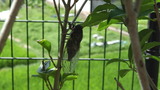 1278414_2314211165_174large
