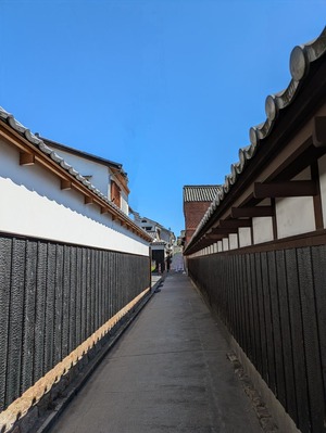 PXL_20241013_032838729~2