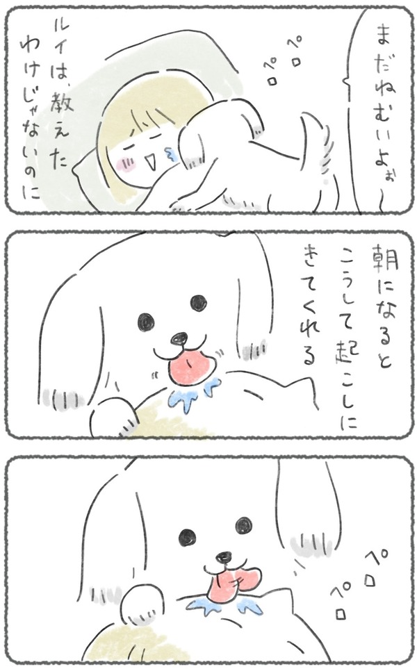 a 3