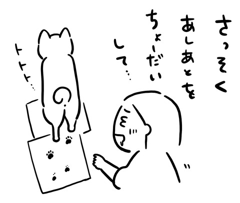 名称未設定のアートワーク 53