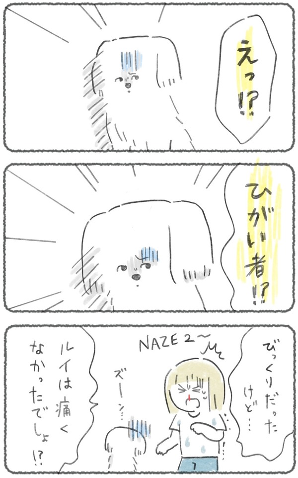 b 2 2
