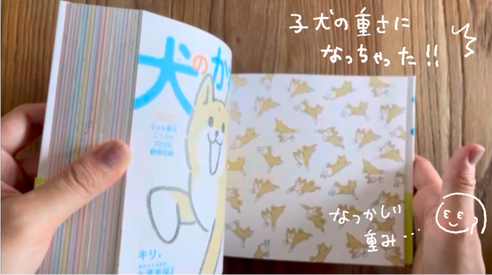 名称未設定のアートワーク 3