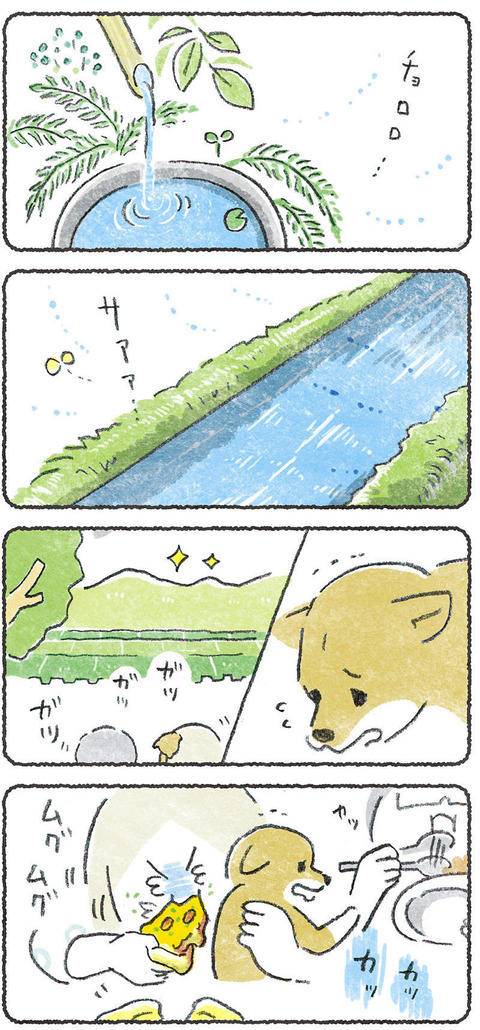 image_001 2 2