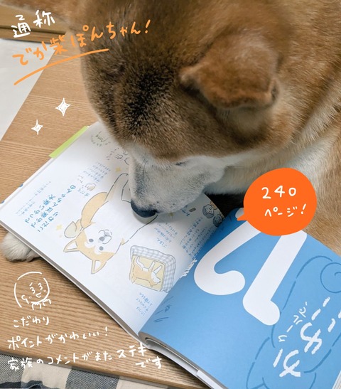名称未設定のアートワーク 43