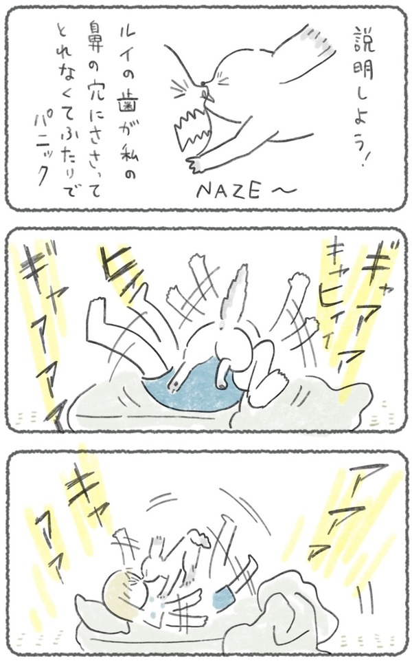 a 2 2