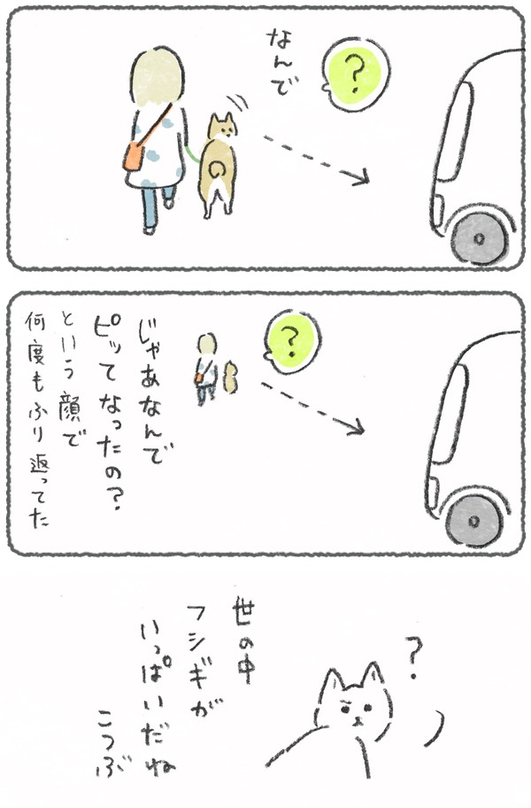 車のピに反応 2 2